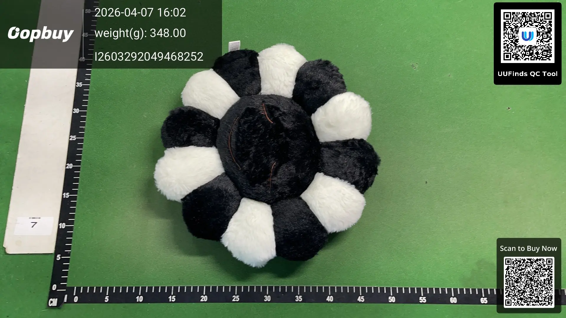 Miniatura 3